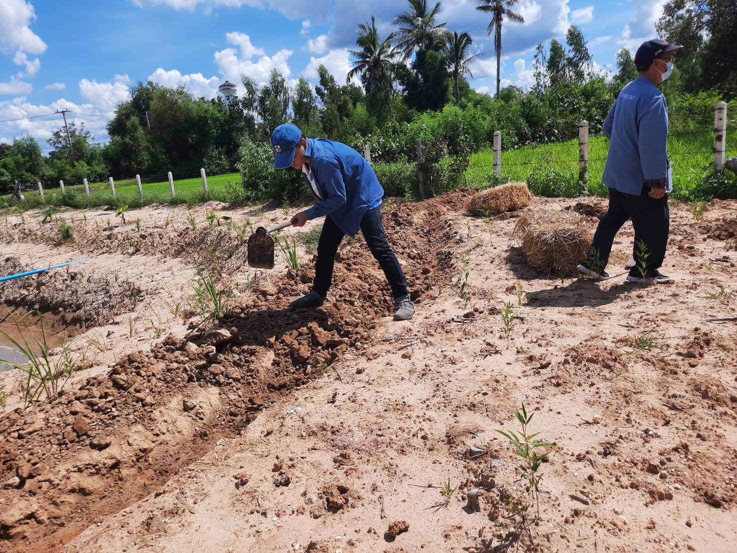 พช.เต่างอย เอามื้อสามัคคี วิถีการเรียนรู้ สู่ความพอเพียง รูปแบบ “โคก หนอง นา”