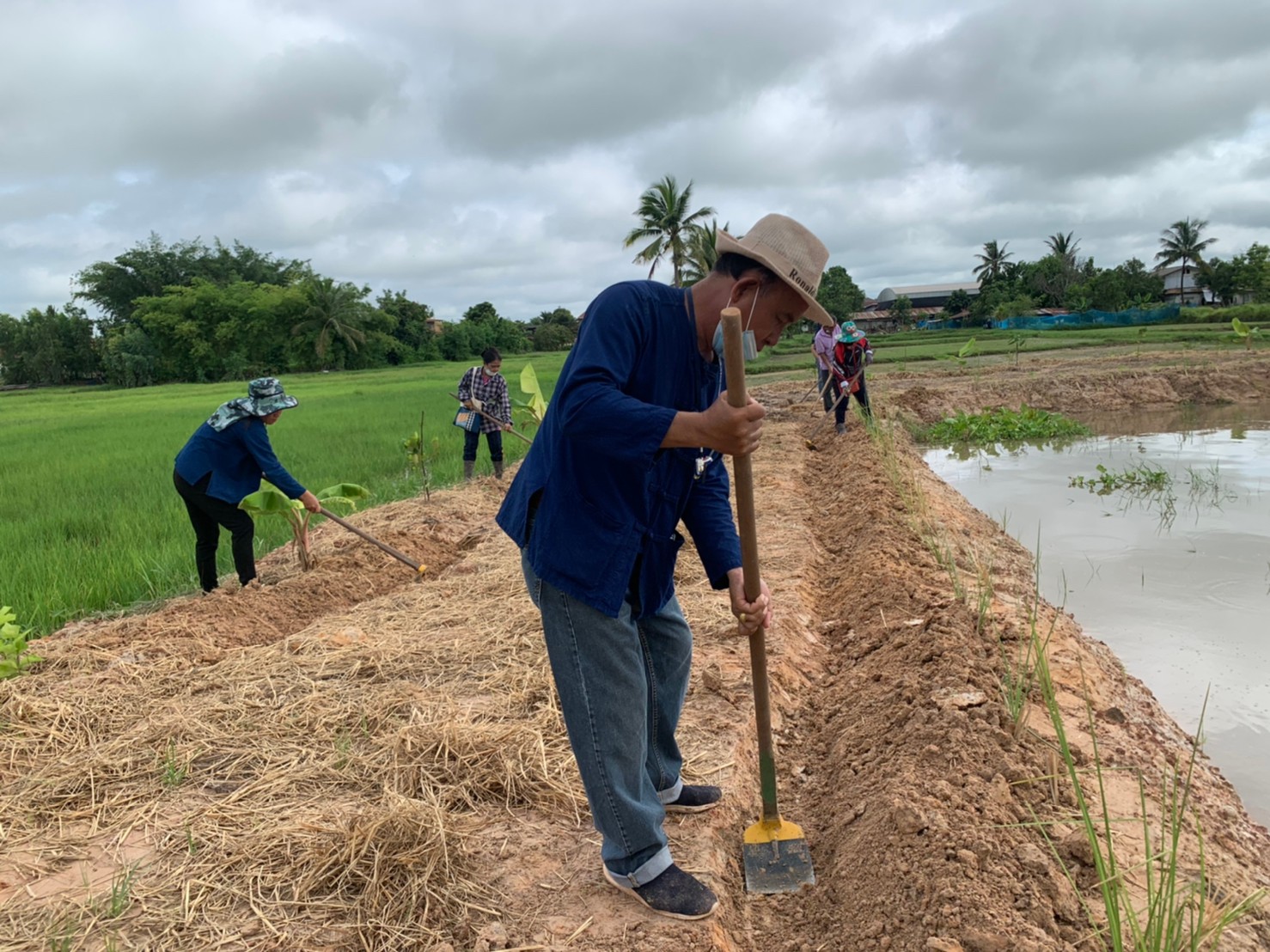 พช.พังโคน เอามื้อสามัคคี  “โคก หนอง นา” แปลง HLM นางทัศนีย์ สุทธิแสง