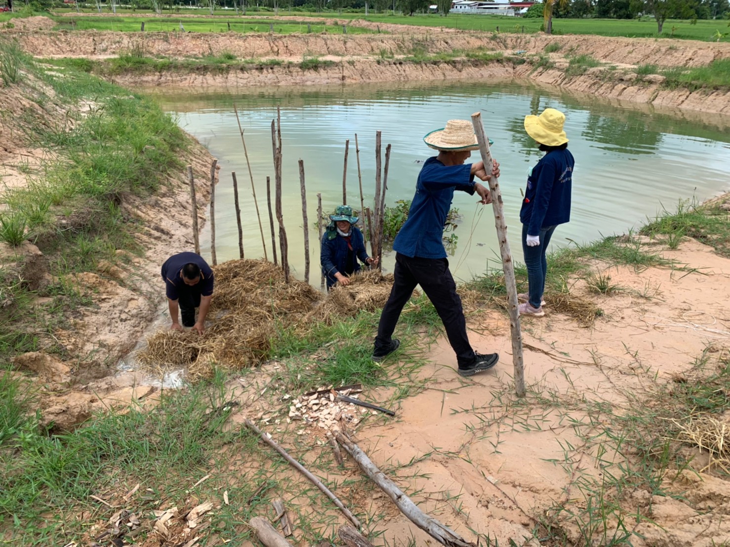 พช.พังโคน เอามื้อสามัคคี  “โคก หนอง นา” แปลง HLM นางทัศนีย์ สุทธิแสง