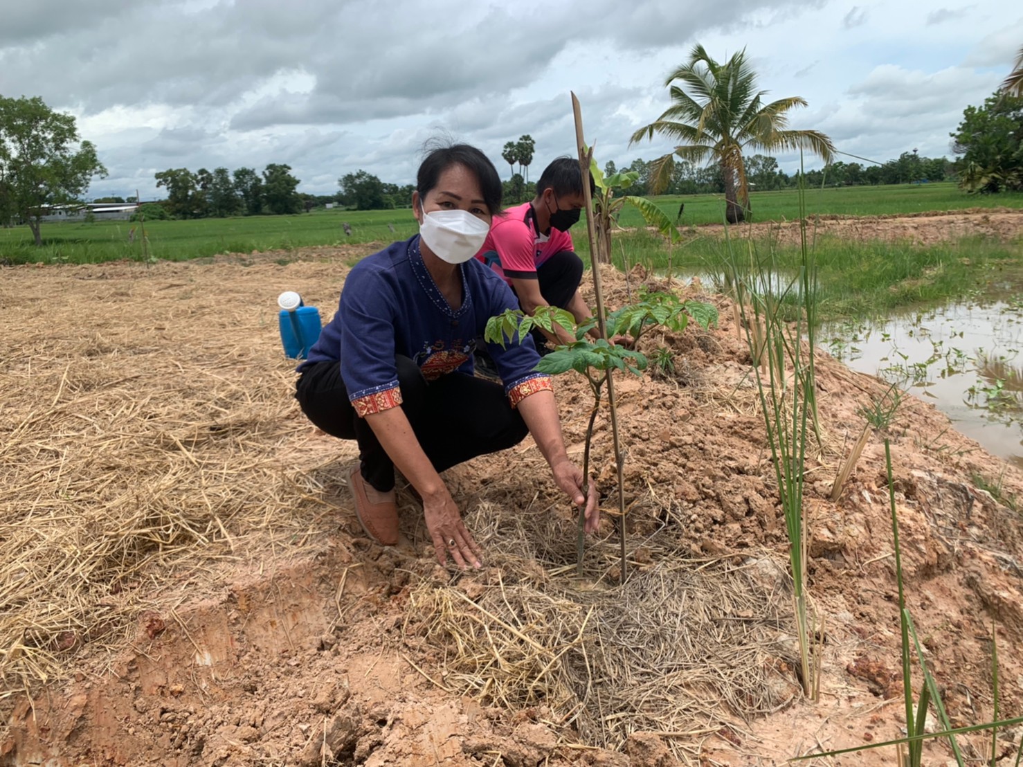 พช.พังโคน เอามื้อสามัคคี  “โคก หนอง นา” แปลง HLM นางทัศนีย์ สุทธิแสง