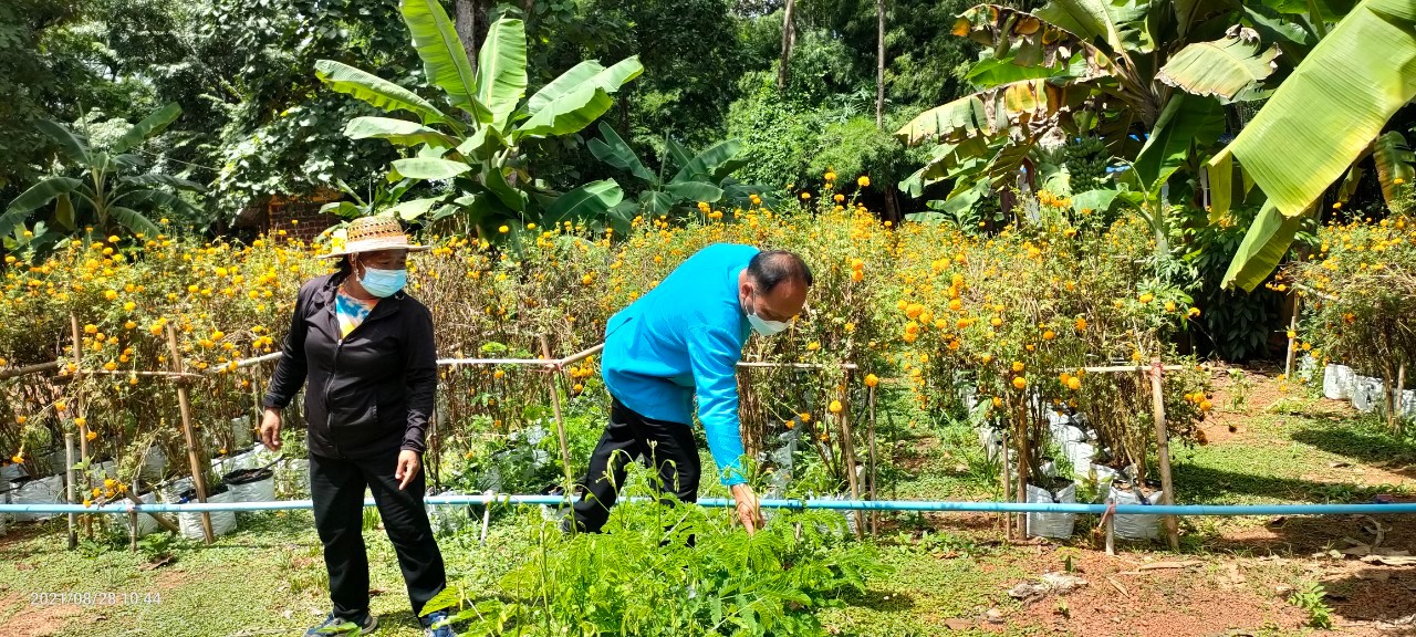 พจ.สกลนคร ลงพื้นที่ติดตามและให้กำลังใจอาสาสมัครจัดเก็บข้อมูล จปฐ.