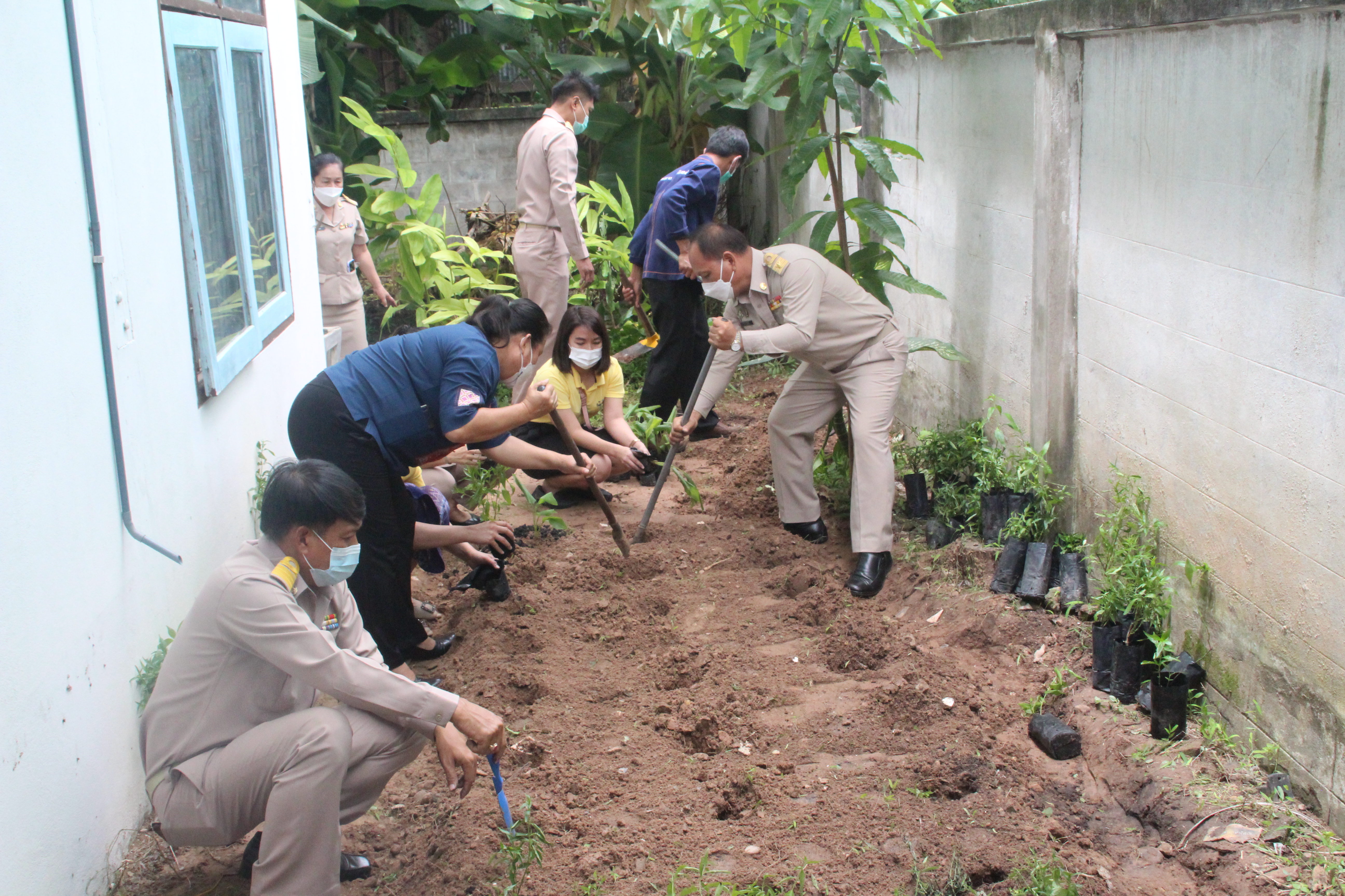 พจ.สกลนคร นำบุคลากรปลุกสมุนไพรต้านภัย Covid-19