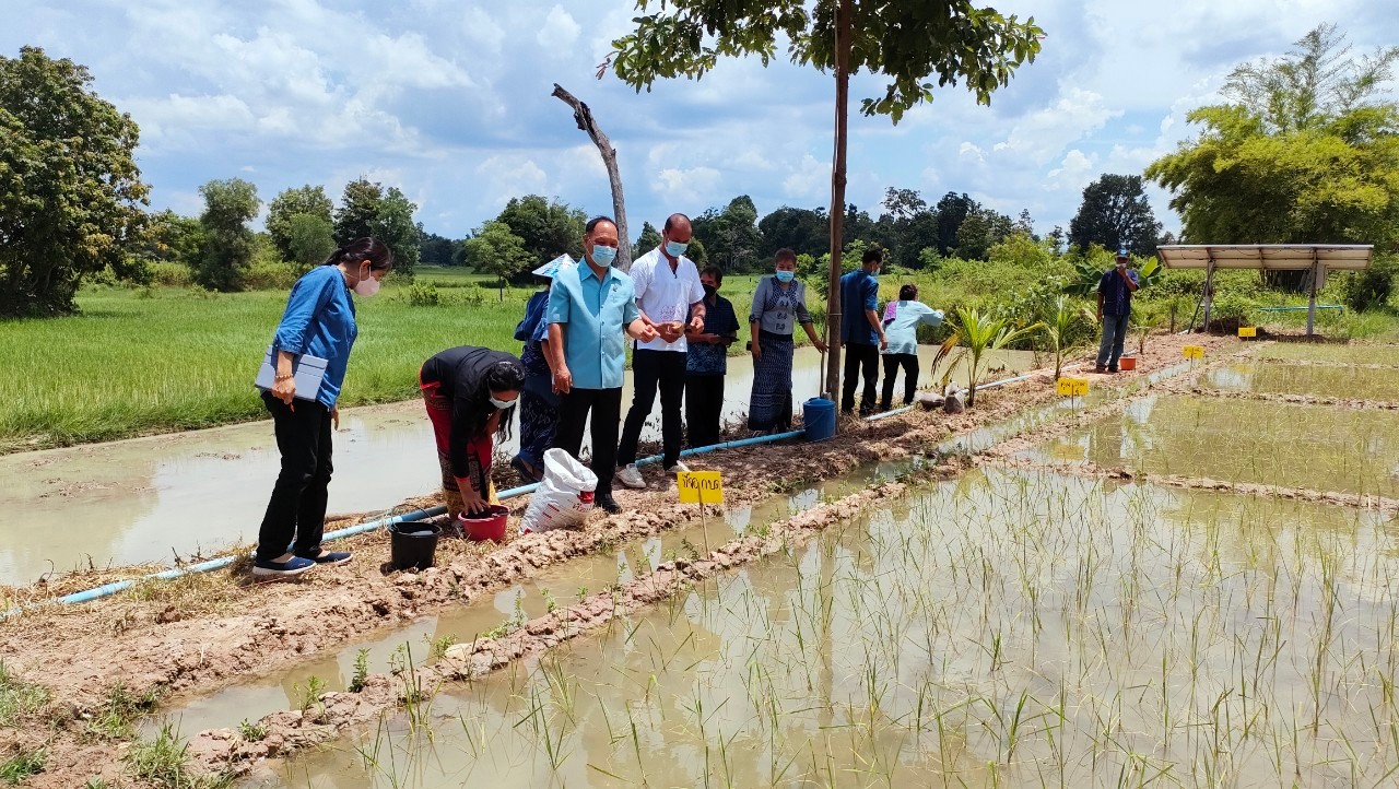 พช.สกลนคร : ฝึกอบรมให้ความรู้ก่อนส่งมอบวัสดุเพื่อต่อยอดโครงการตามที่ชุมชนเสนอ สนับสนุนการพัฒนาหมู่บ้านต้นแบบตามแนวพระราชดำริ (ด้านเศรษฐกิจ)