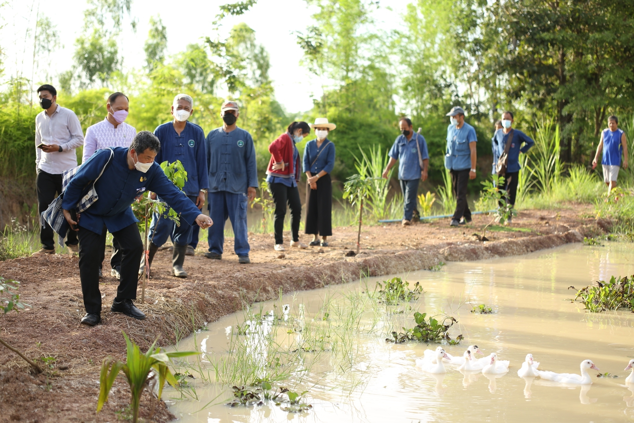 อธิบดี พช. และประธานสภาสตรีแห่งชาติ ในพระบรมราชินูปถัมภ์ เยี่ยมชมแปลง “โคก หนอง นา พช.” สกลนคร