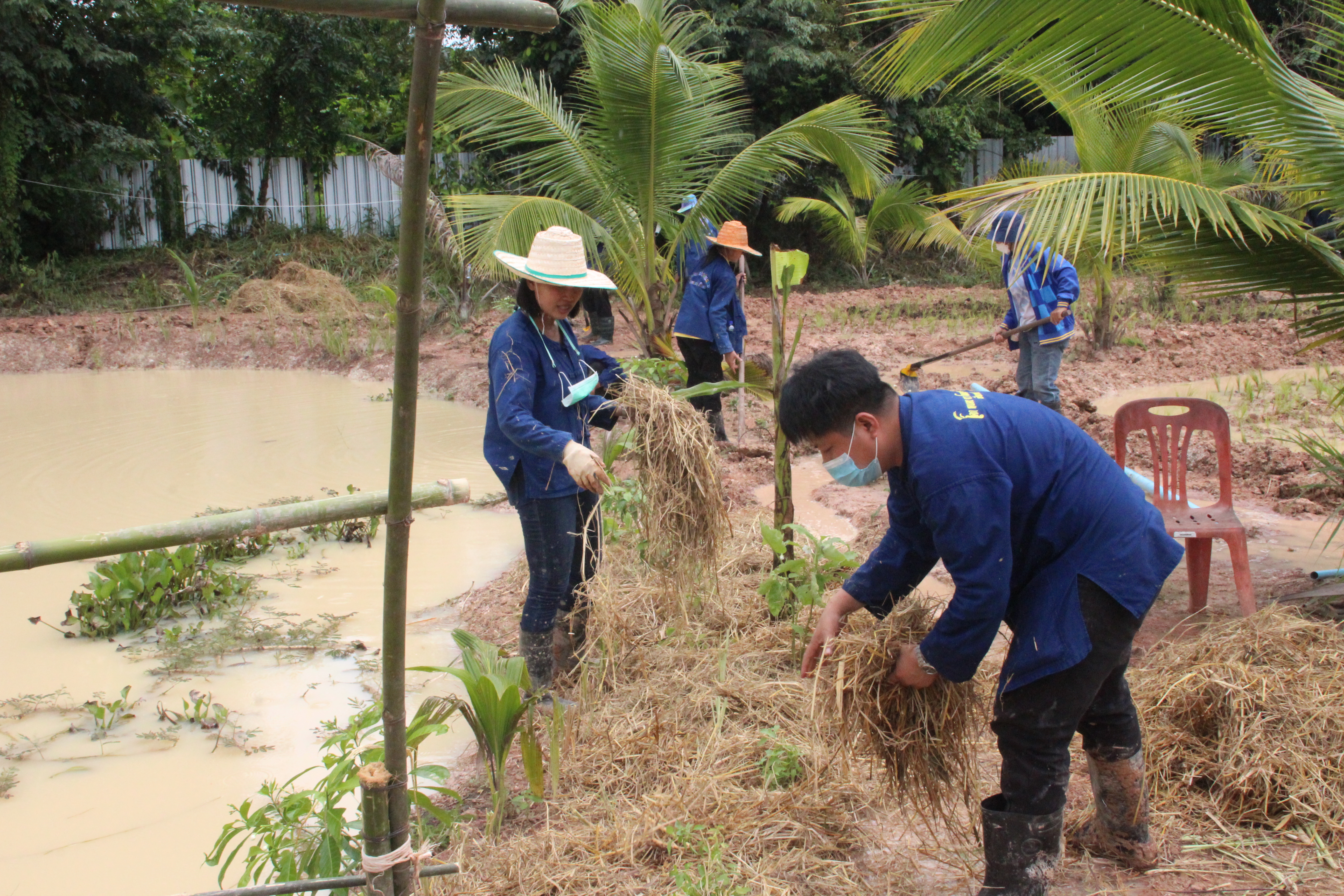 พช.สกลนคร : เอามื้อสามัคคี “โคก หนอง นา พช.” คุณขนิษฐา จิตรเจริญ