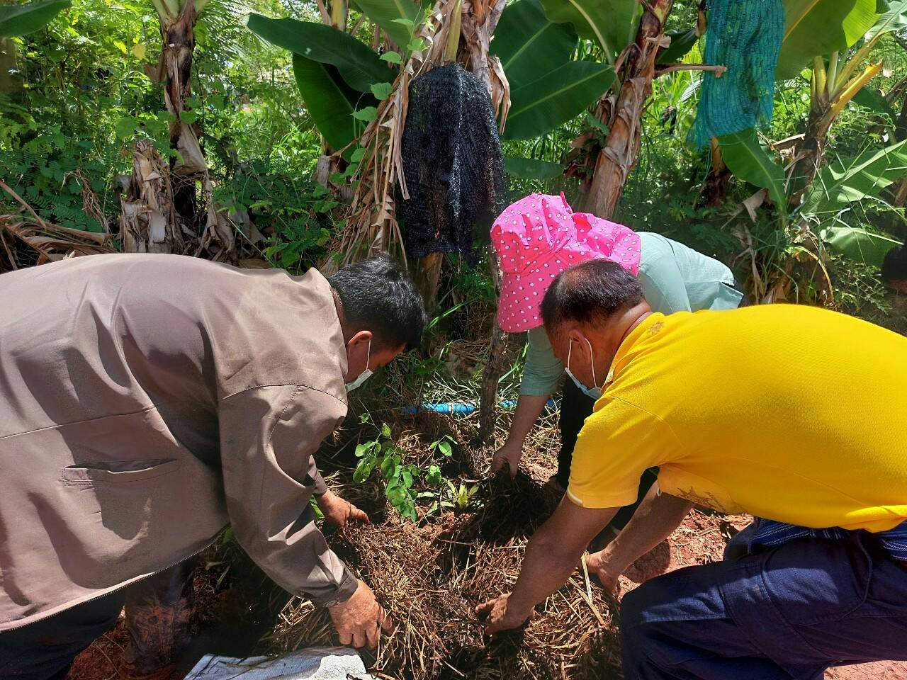 พช.วานรนิวาส : จัดกิจกรรมเอามื้อสามัคคี “โคก หนอง นา พช”