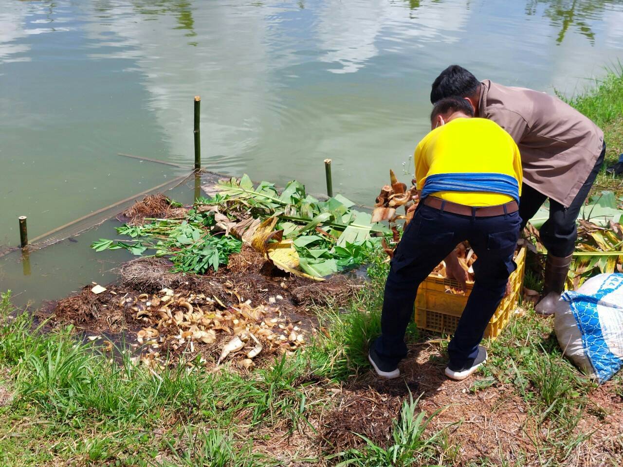 พช.วานรนิวาส : จัดกิจกรรมเอามื้อสามัคคี “โคก หนอง นา พช”