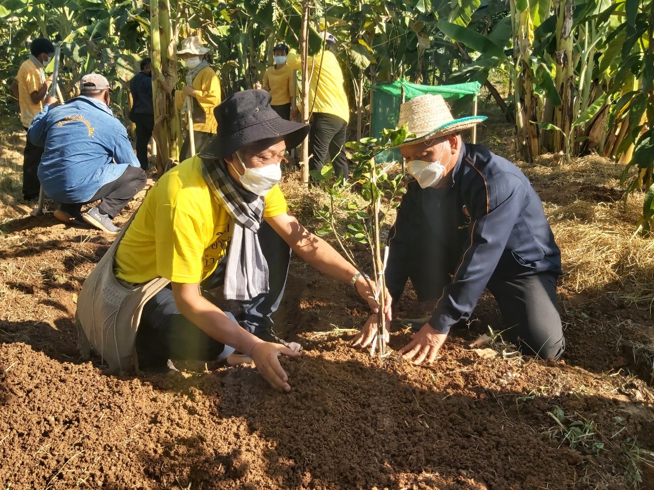 พช.สกลนคร จับมือโคกหินแห่โมเดล จัดกิจกรรม”วันดินโลก” (World Soil Day)