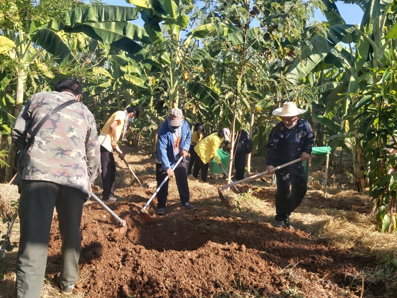 พช.สกลนคร จับมือโคกหินแห่โมเดล จัดกิจกรรม”วันดินโลก” (World Soil Day)