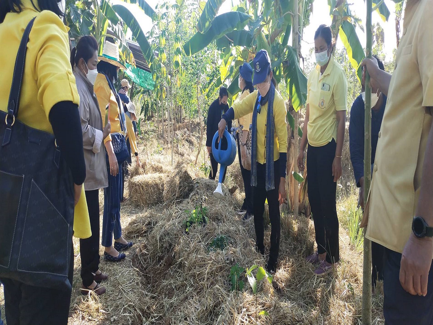 พช.สกลนคร จับมือโคกหินแห่โมเดล จัดกิจกรรม”วันดินโลก” (World Soil Day)