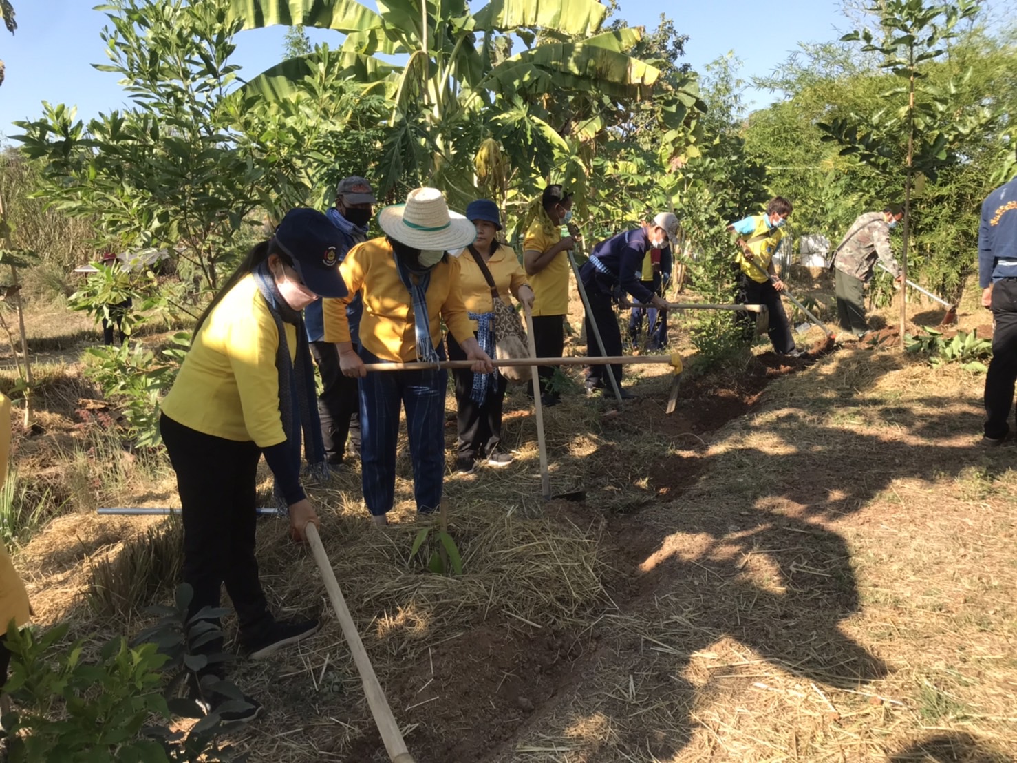 พช.สกลนคร จับมือโคกหินแห่โมเดล จัดกิจกรรม”วันดินโลก” (World Soil Day)