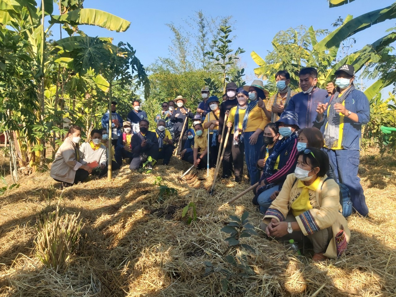 พช.สกลนคร จับมือโคกหินแห่โมเดล จัดกิจกรรม”วันดินโลก” (World Soil Day)