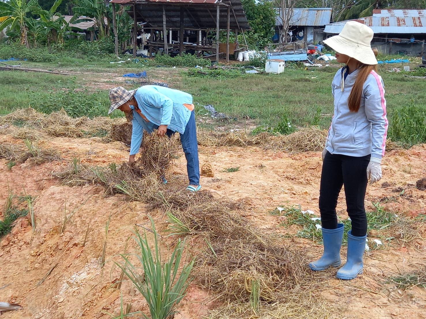 สุดสัปดาห์ “โคก หนอง นา โมเดล” สกลนคร