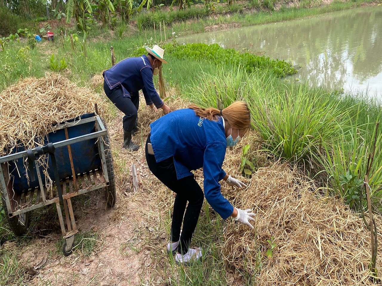 พจ.สกลนคร : เอามื้อสามัคคี “โคก หนองนา โมเดล”
