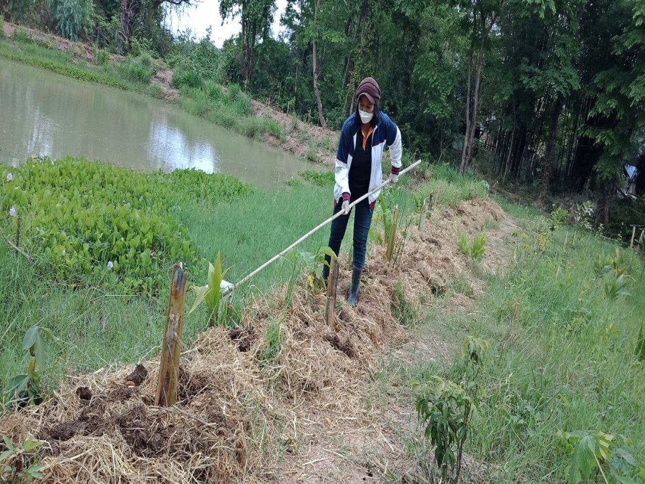 พจ.สกลนคร : เอามื้อสามัคคี “โคก หนองนา โมเดล”