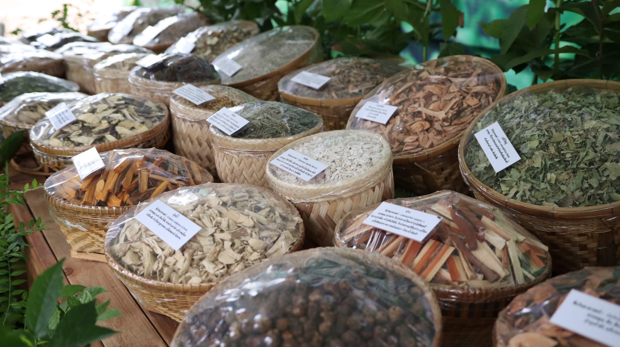 พลเอกประยุทธ์ จันทร์โอชา นายกรัฐมนตรี ปฏิบัติภารกิจในเขตพื้นที่จังหวัดสกลนคร