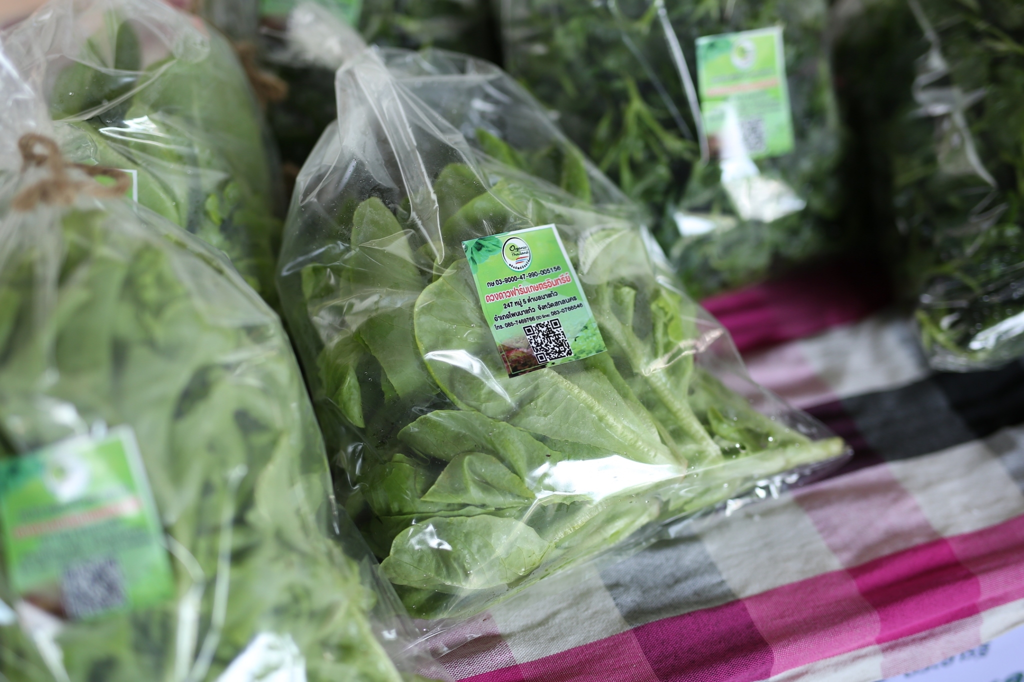 จังหวัดสกลนคร : จัด “มหกรรมอาหารปลอดภัย ไทสกล” เชื่อมโยงช่องทางการตลาดในการสร้างรายได้จากกิจการอาหารปลอดภัย