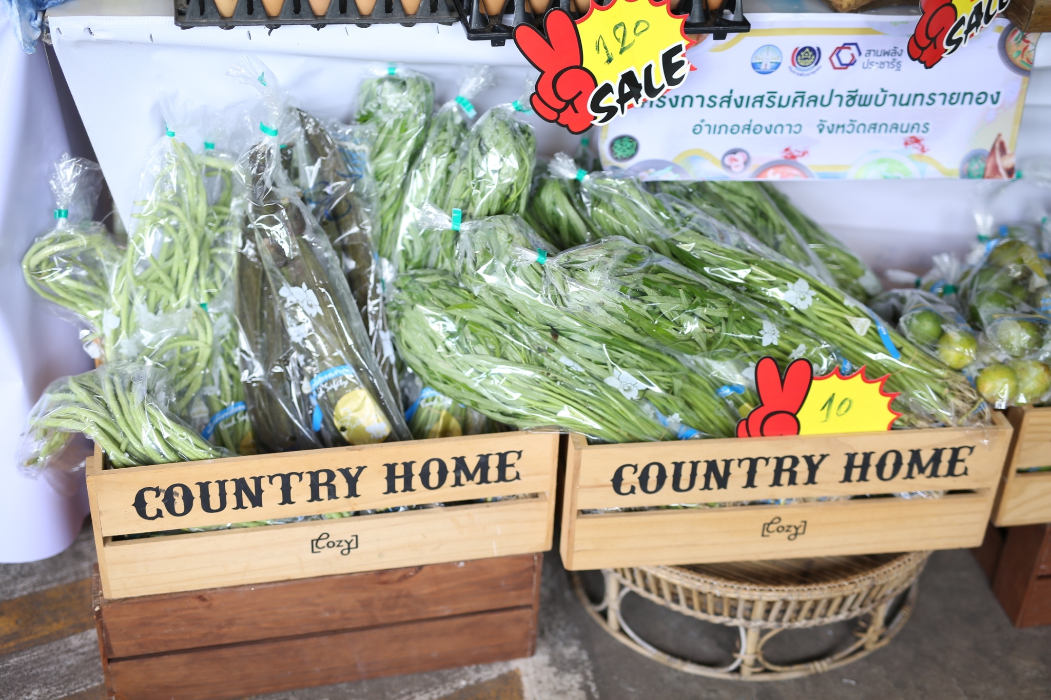 จังหวัดสกลนคร : จัด “มหกรรมอาหารปลอดภัย ไทสกล” เชื่อมโยงช่องทางการตลาดในการสร้างรายได้จากกิจการอาหารปลอดภัย