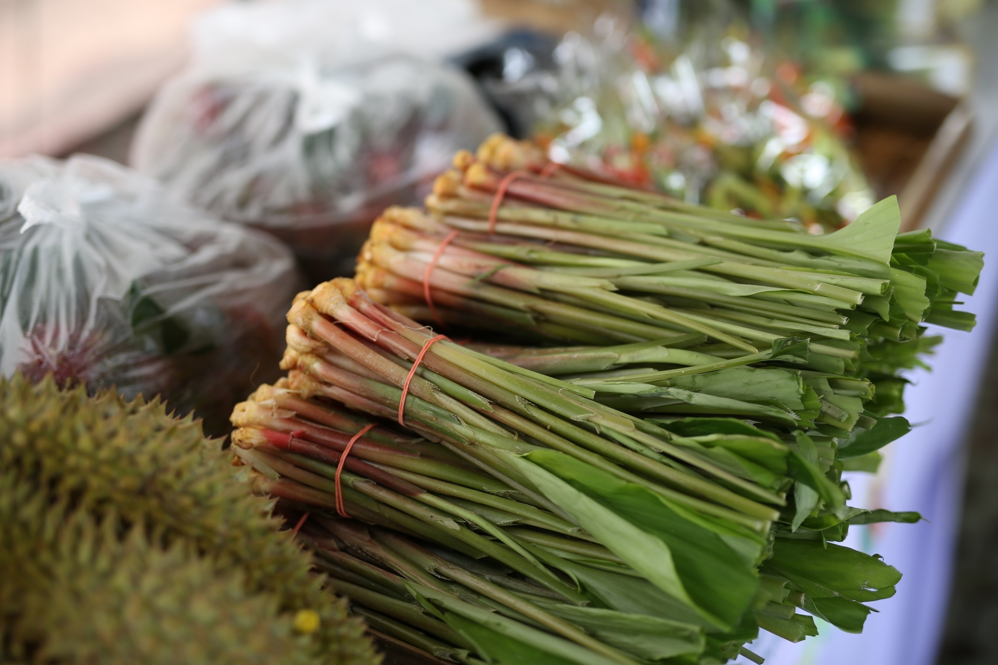 จังหวัดสกลนคร : จัด “มหกรรมอาหารปลอดภัย ไทสกล” เชื่อมโยงช่องทางการตลาดในการสร้างรายได้จากกิจการอาหารปลอดภัย