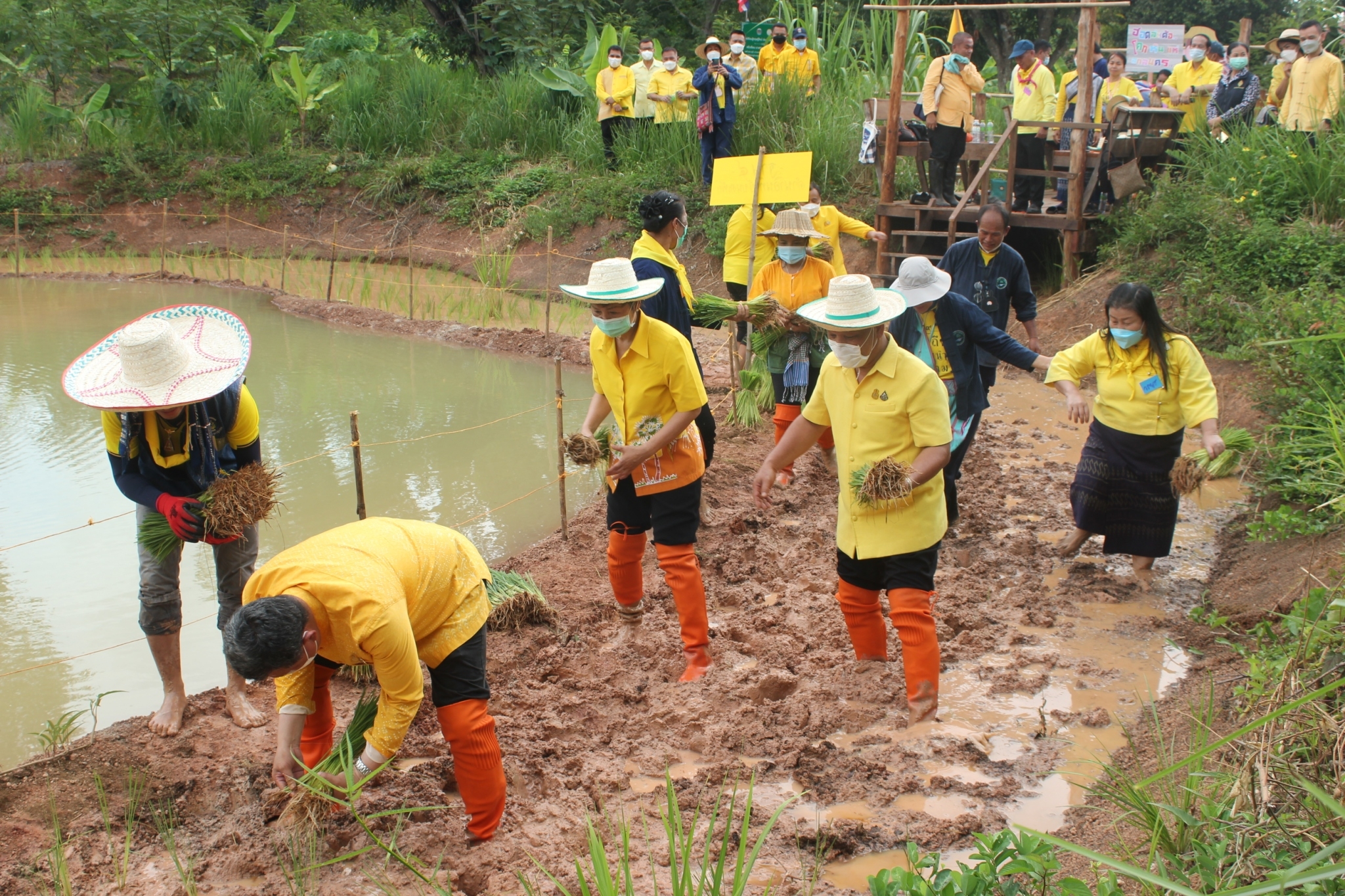 ปลัดกระทรวงมหาดไทย :ร่วมกิจกรรมเอามื้อสามัคคีเพื่อเฉลิมพระเกียรติพระบาทสมเด็จพระเจ้าอยู่หัว เนื่องในโอกาสวันเฉลิมพระชนมพรรษา 28 กรกฎาคม 2565  ณ จังหวัดสกลนคร