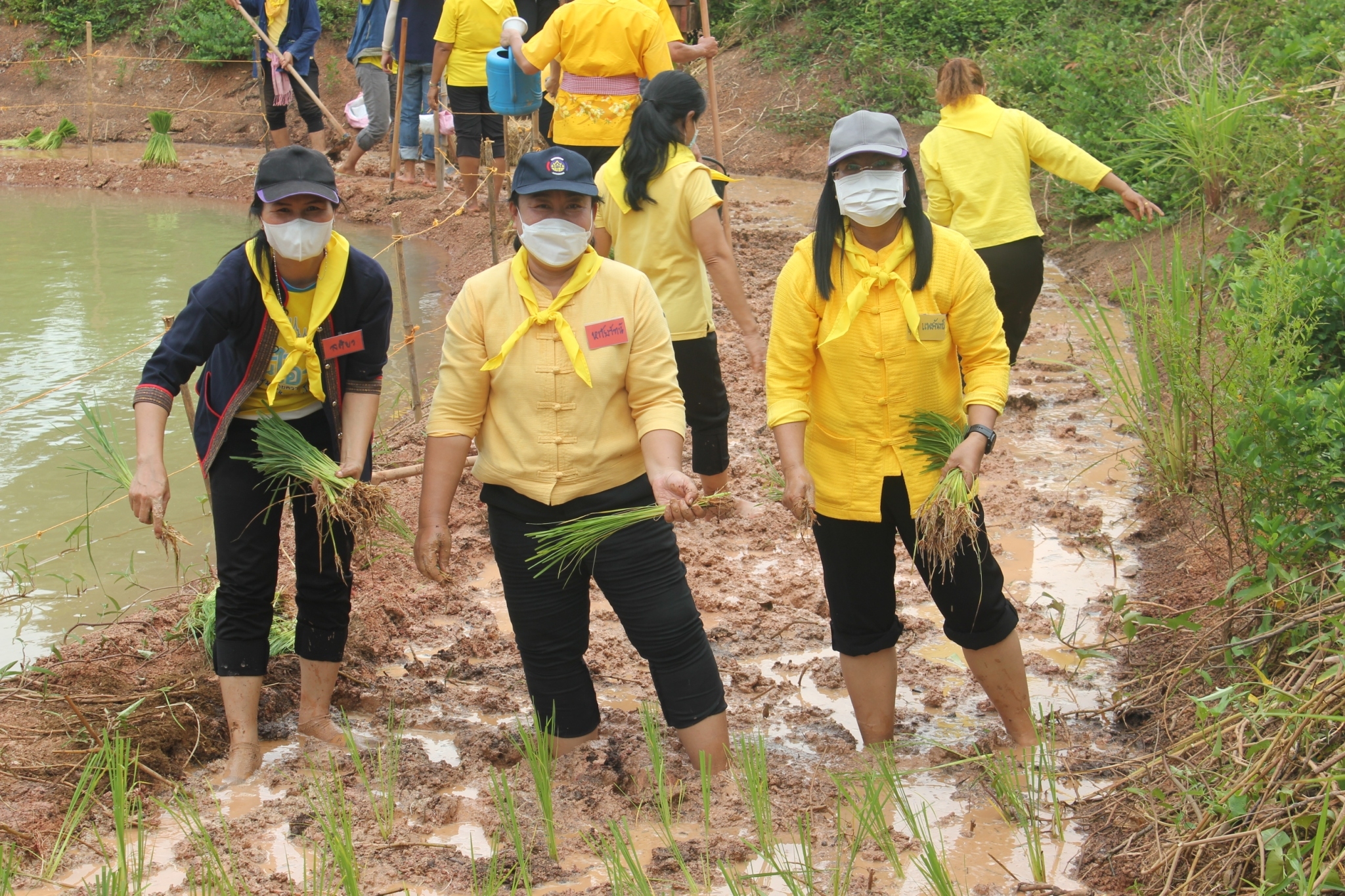 ปลัดกระทรวงมหาดไทย :ร่วมกิจกรรมเอามื้อสามัคคีเพื่อเฉลิมพระเกียรติพระบาทสมเด็จพระเจ้าอยู่หัว เนื่องในโอกาสวันเฉลิมพระชนมพรรษา 28 กรกฎาคม 2565  ณ จังหวัดสกลนคร
