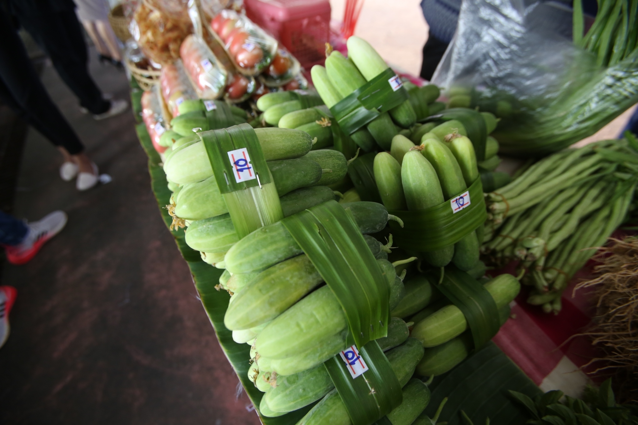จังหวัดสกลนคร : จัด “มหกรรมอาหารปลอดภัย ไทสกล” เชื่อมโยงช่องทางการตลาดในการสร้างรายได้จากกิจการอาหารปลอดภัย