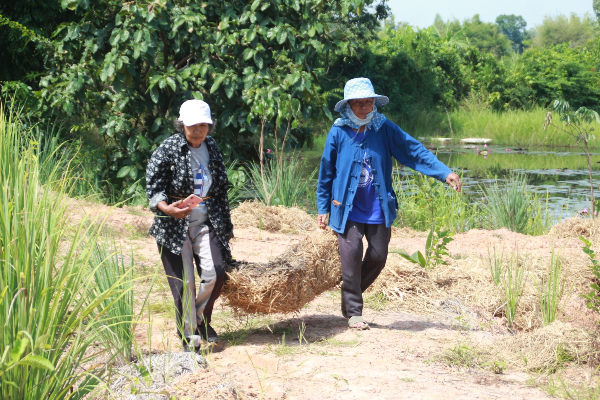 พัฒนาการจังหวัดสกลนคร : นำทีมเจ้าหน้าที่พัฒนาชุมชนจังหวัดสกลนคร ร่วมเอามื้อสามัคคี “โคก หนอง นา พัฒนาชุมชน”