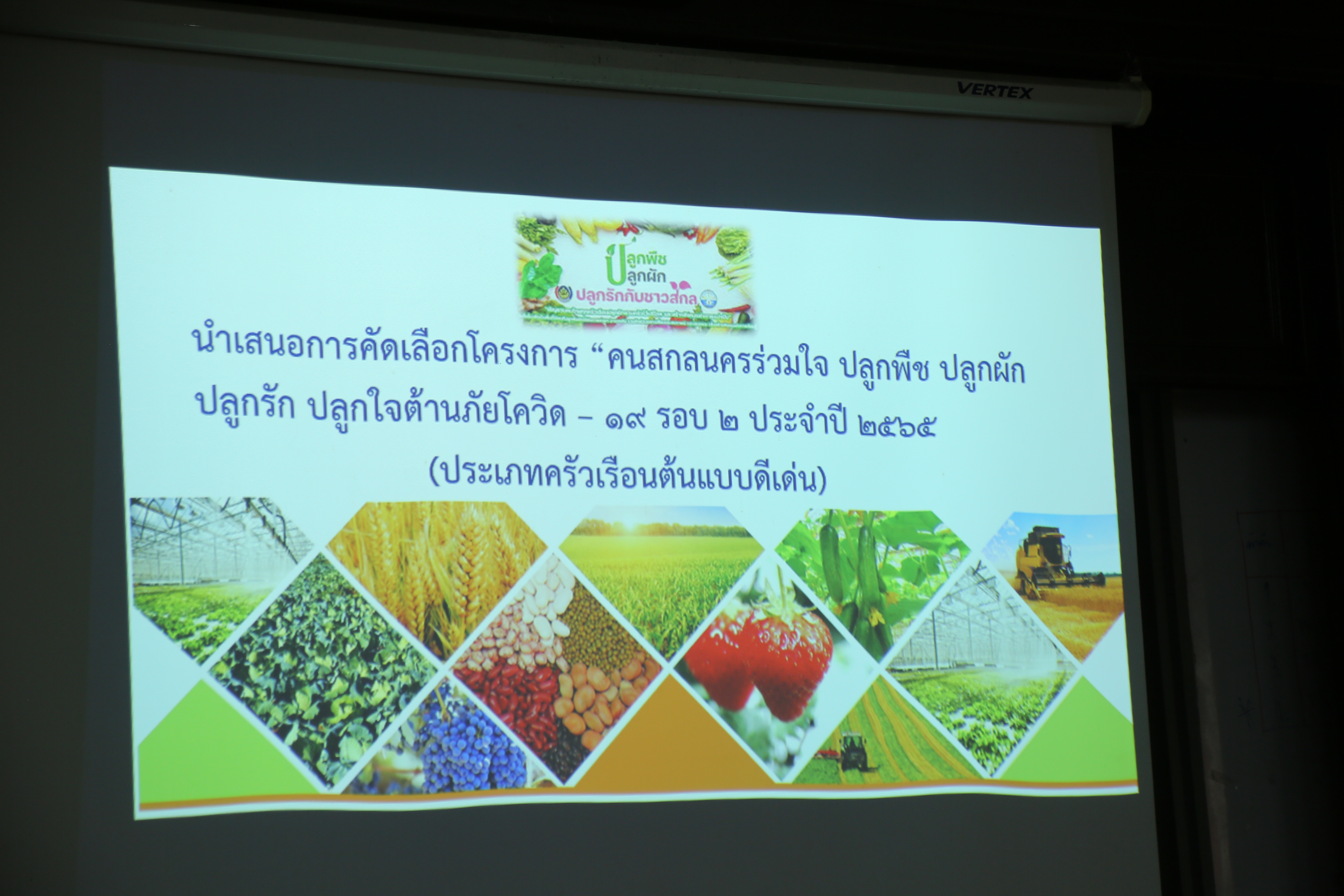 จังหวัดสกลนคร : จัดประกวดกิจกรรมตามโครงการ “คนสกลนครร่วมใจ ปลูกผัก ปลูกรัก ปลูกใจ ต้านภัยโควิด-19 รอบ 2