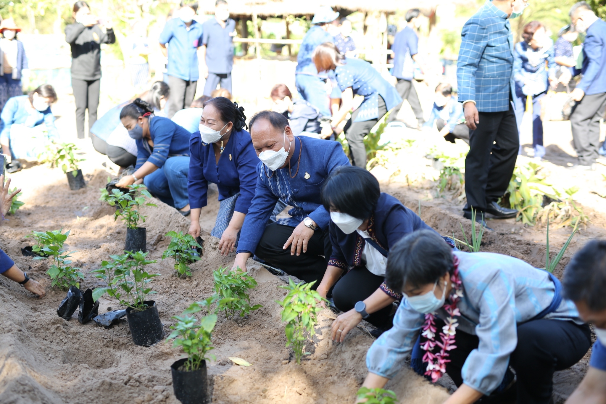 จังหวัดสกลนคร : Kick off การน้อมนำแนวพระราชดำริของสมเด็จพระกนิษฐาธิราชเจ้า กรมสมเด็จพระเทพรัตนราชสุดาฯ สยามบรมราชกุมารี สร้างความมั่นคงทางอาหาร สู่ปฏิบัติการปลูกผักสวนครัว เพื่อสร้างความมั่นคงทางอาหาร ปี 2566 รอบ 2 ต่อเนื่อง