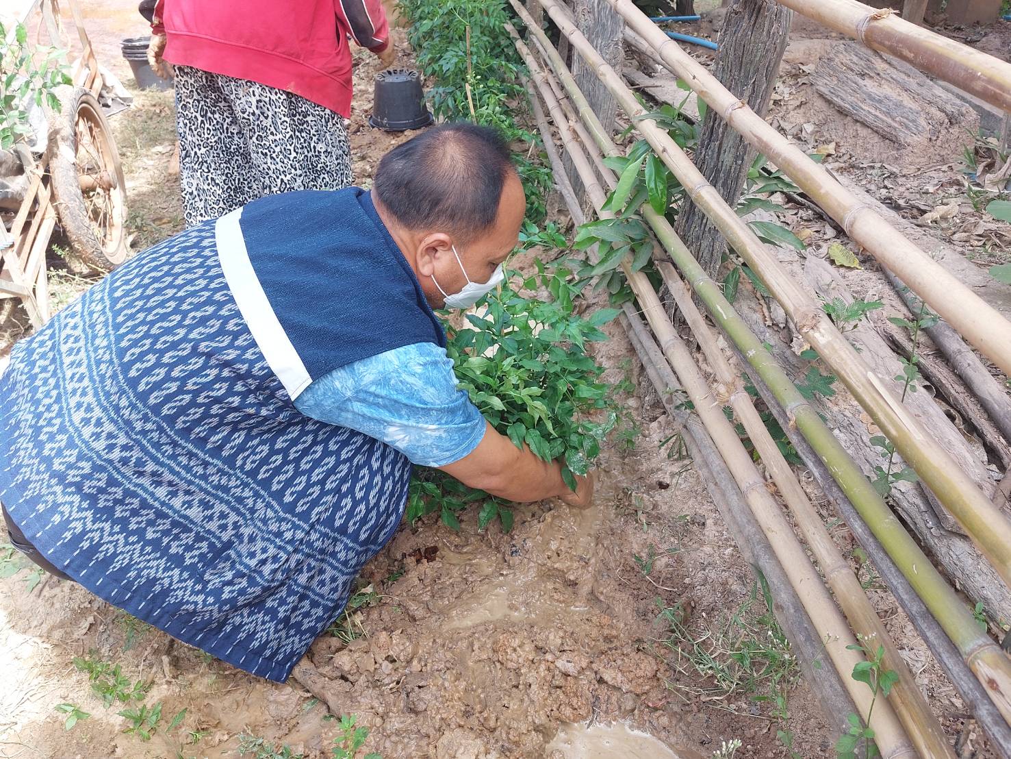 พัฒนาชุมชนจังหวัดสกลนคร : ร่วมสนับสนุนการปรับปรุงภูมิทัศน์บ้านดอนกอยและศูนย์เรียนรู้ผ้าย้อมคราม”วิชชาลัยดอนกอย วิถีแห่งการพัฒ นาที่ ยังยืน”