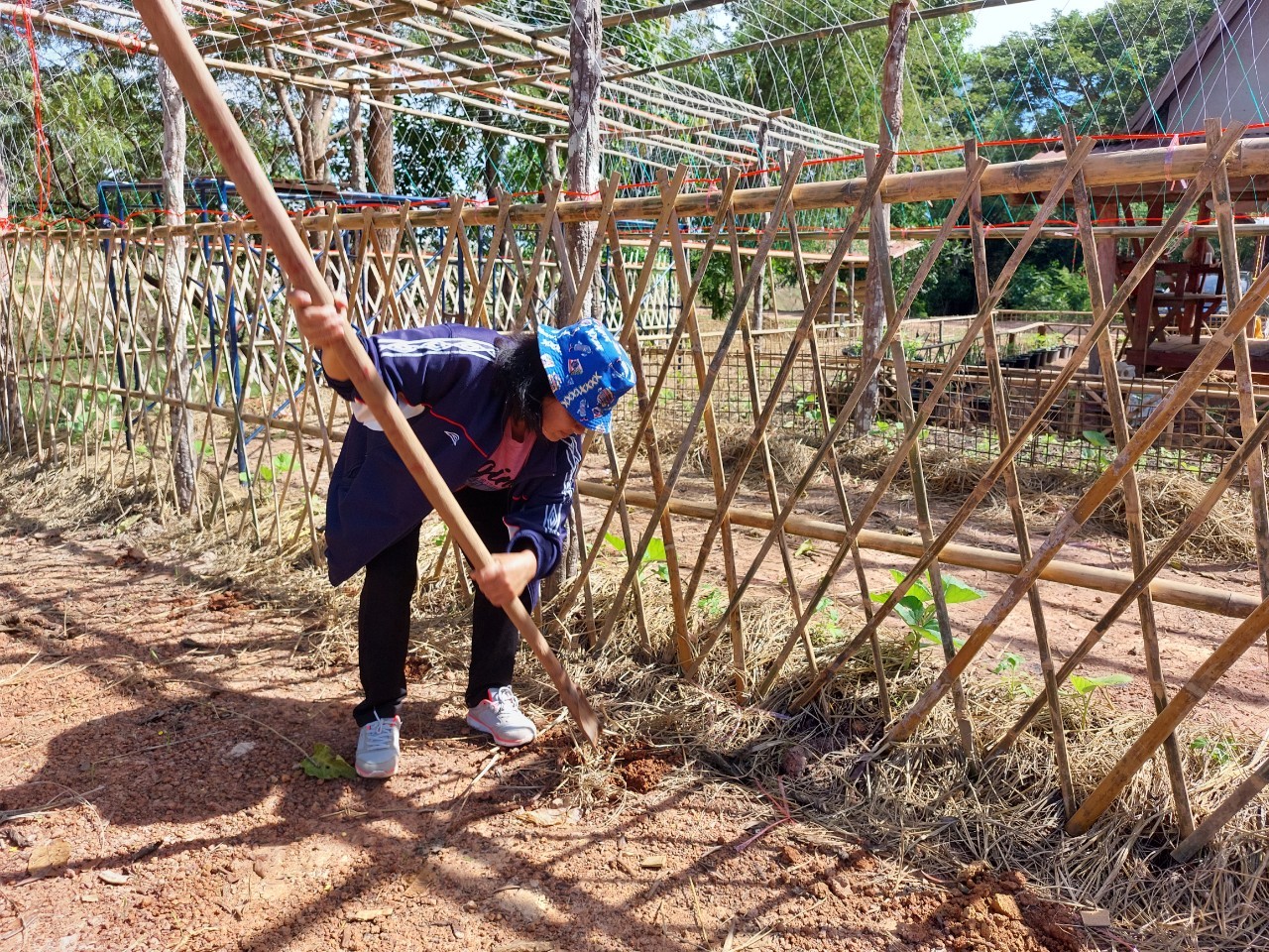 พช. สกลนครร่วมกับคณะกรรมการพัฒนาสตรีอำเภอพรรณานิคม ดำเนินงานโครงการ”สตรีอาสาพัฒนาเศรษฐกิจพอเพียง ปลูกพืช ปลูกผัก เพื่อสร้างความมั่นคงทางอาหาร ในเขตพื้นที่ตำบลสว่าง อำเภอพรรณานิคม จังหวัดสกลนคร