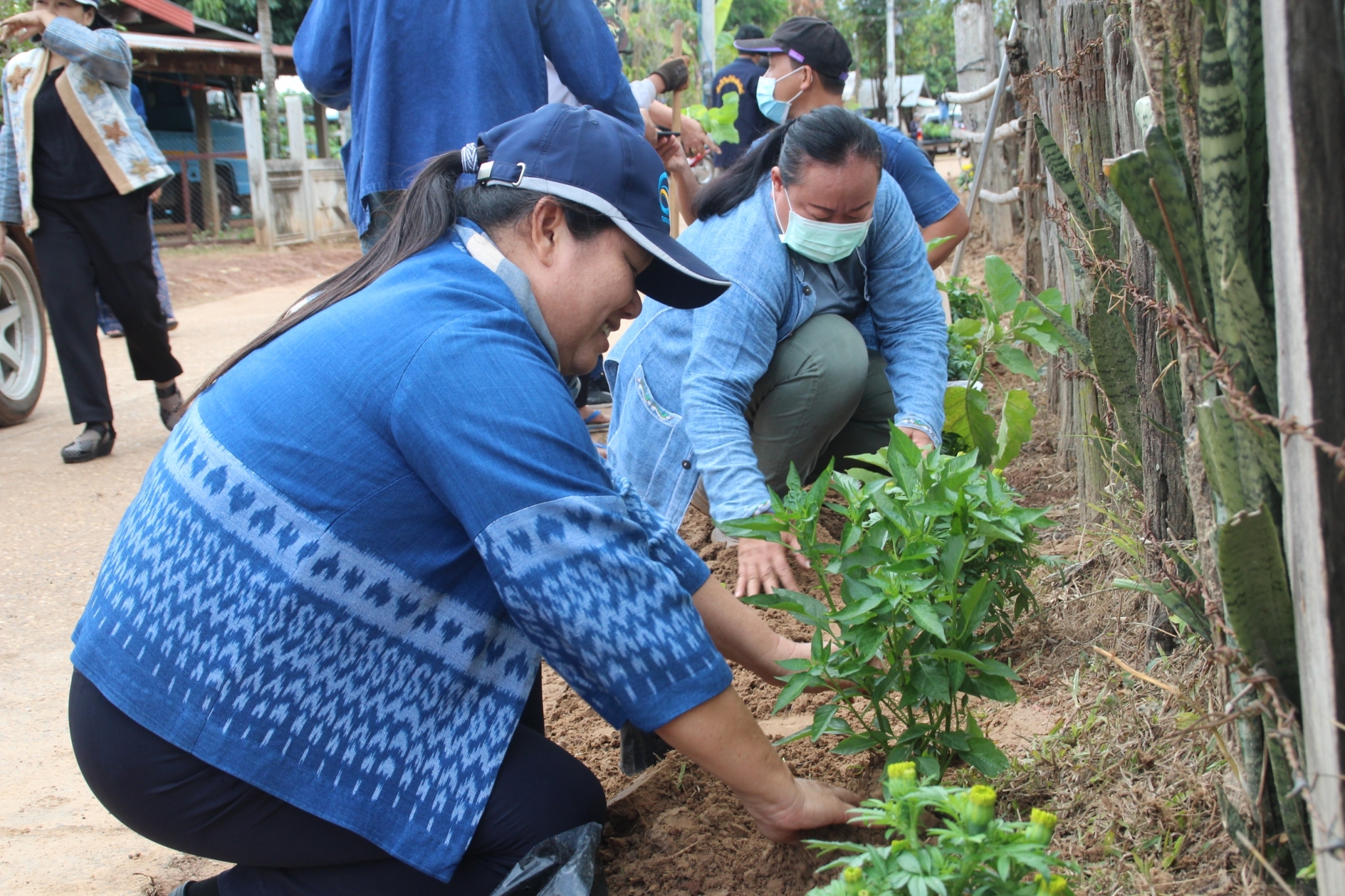 ผู้ตรวจราชการกรม กรมการพัฒนาชุมชน กระทรวงมหาดไทย  : ร่วมจัดกิจกรรม เอามื้อสามัคคี ปรับปรุงภูมิทัศน์บริเวณหมู่บ้าน บ้านหนองแข้ หมู่ที่ 5 ตำบลตองโขบ อำเภอโคกศรีสุพรรณ จังหวัดสกลนคร