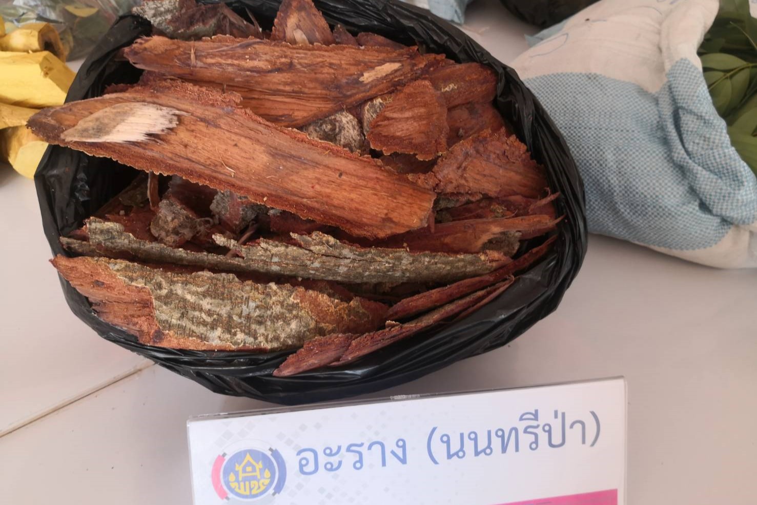 พช.สกลนคร : นำกลุ่มทอผ้าร่วมกิจกรรมเพิ่มศักยภาพด้านการใช้ประโยชน์จากทุนธรรมชาติประเภทพืชให้สี