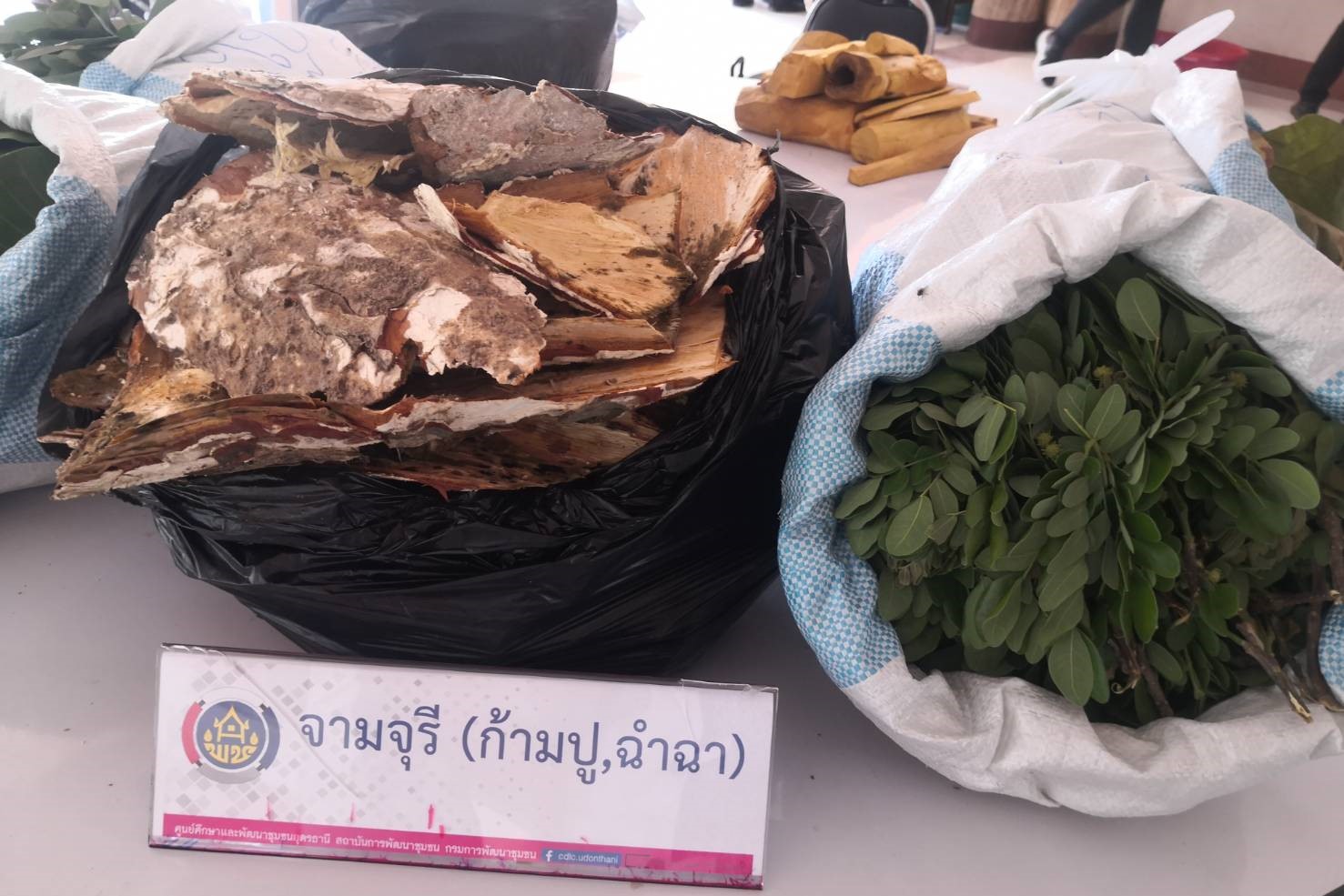 พช.สกลนคร : นำกลุ่มทอผ้าร่วมกิจกรรมเพิ่มศักยภาพด้านการใช้ประโยชน์จากทุนธรรมชาติประเภทพืชให้สี