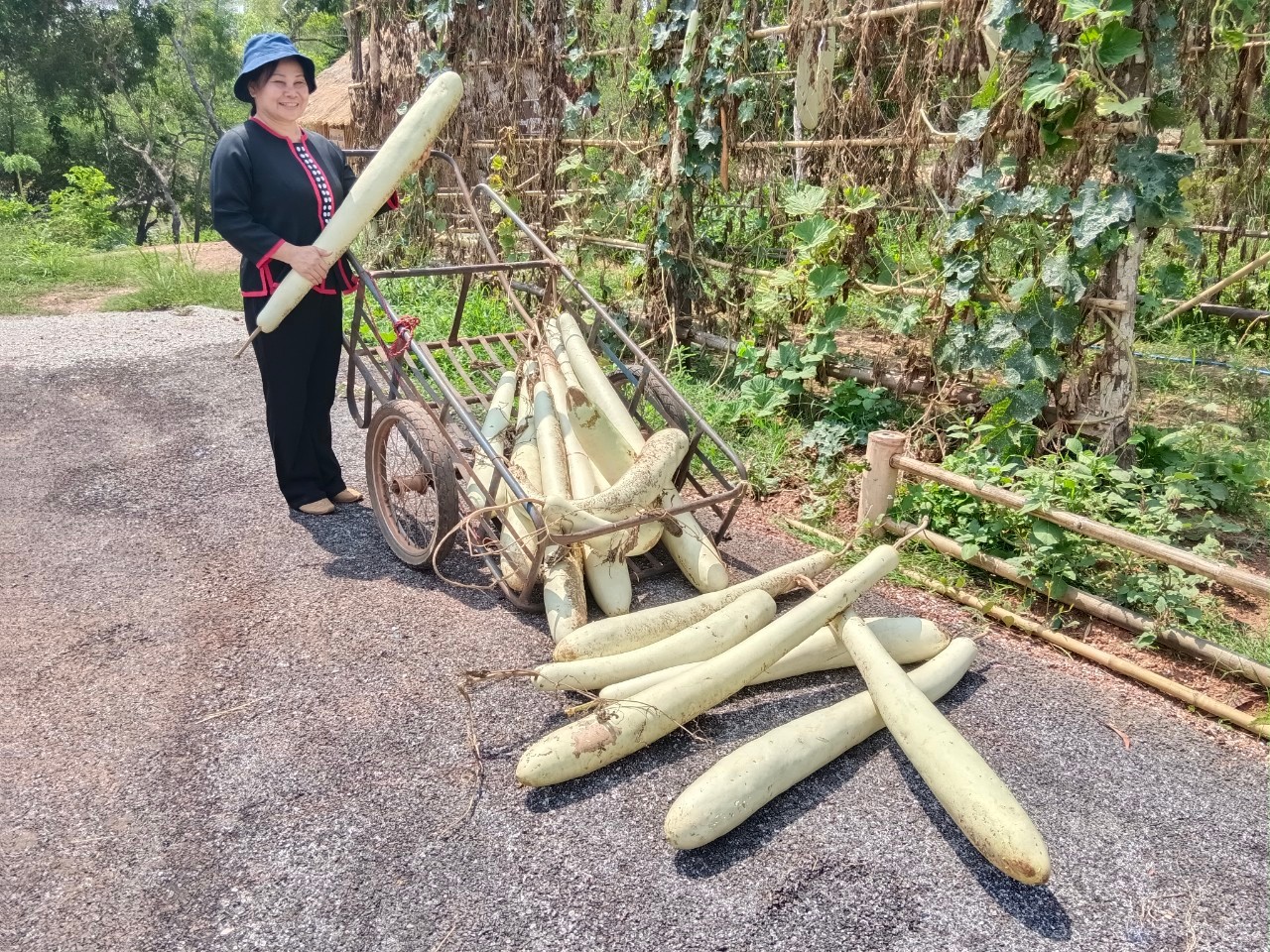 จังหวัดสกลนคร : จัดกิจกรรมปลูกต้นไม้ เนื่องในวันต้นไม้ประจำปีของชาติ ประจำปี 2566  ณ บ้านดอนกอย หมู่บ้านพัฒนาที่ยั่งยืน (Sustainable Village)