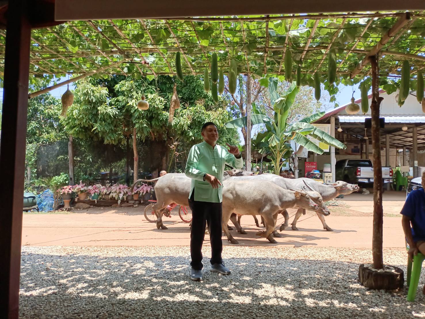 จังหวัดสกลนคร : จัดกิจกรรมปลูกต้นไม้ เนื่องในวันต้นไม้ประจำปีของชาติ ประจำปี 2566  ณ บ้านดอนกอย หมู่บ้านพัฒนาที่ยั่งยืน (Sustainable Village)