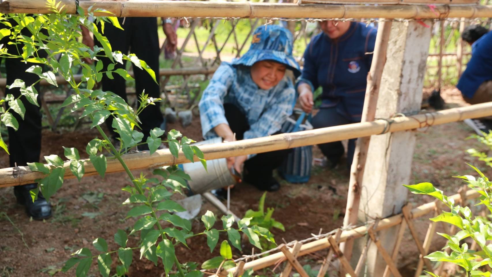 จังหวัดสกลนคร : จัดกิจกรรมปลูกต้นไม้ เนื่องในวันต้นไม้ประจำปีของชาติ ประจำปี 2566  ณ บ้านดอนกอย หมู่บ้านพัฒนาที่ยั่งยืน (Sustainable Village)