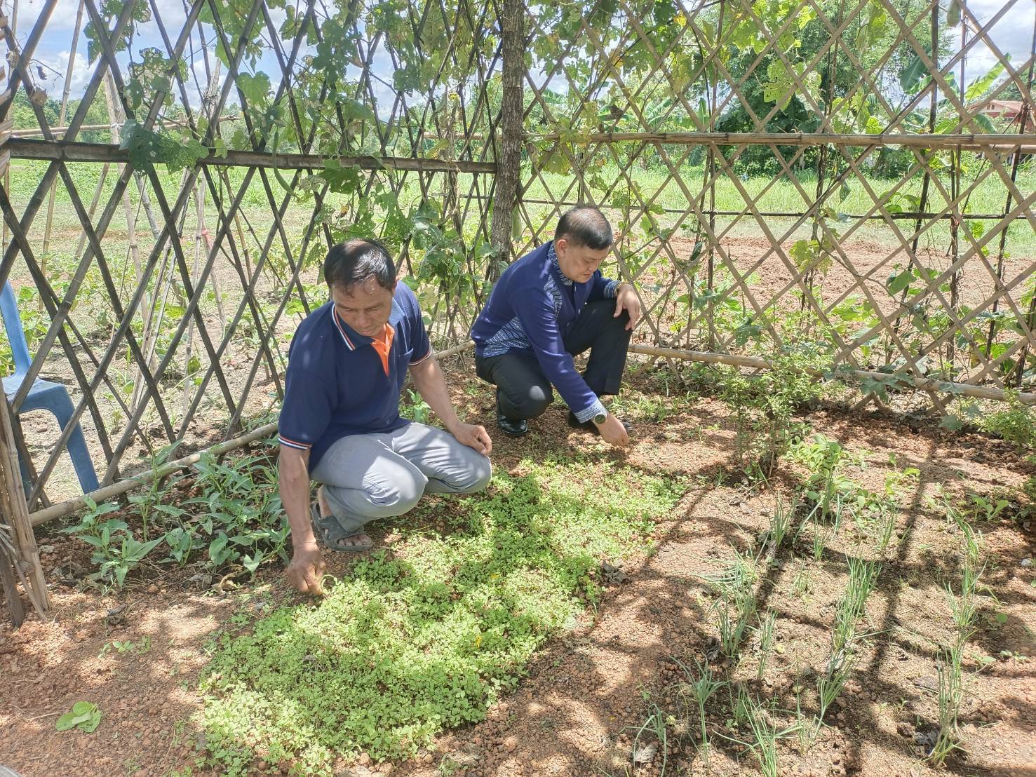 พช. สกลนคร จัดกิจกรรมเอามื้อสามัคคีปรับปรุงภูมิทัศน์บ้านดอนกอย เน้นการบูรณาการในระดับพื้นที่ เพื่อเตรียมการรับเสด็จสมเด็จพระเจ้าลูกยาเธอ เจ้าฟ้าทีปังกรรัศมีโชติ มหาวชิโรตตมางกูร สิริวิบูลยราชกุมาร