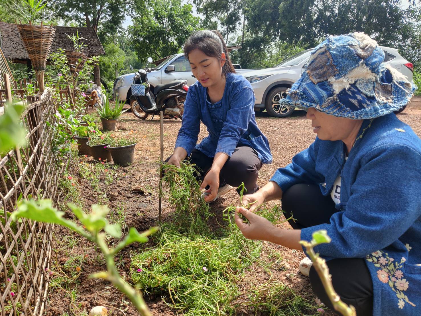 พช. สกลนคร จัดกิจกรรมเอามื้อสามัคคีปรับปรุงภูมิทัศน์บ้านดอนกอย เน้นการบูรณาการในระดับพื้นที่ เพื่อเตรียมการรับเสด็จสมเด็จพระเจ้าลูกยาเธอ เจ้าฟ้าทีปังกรรัศมีโชติ มหาวชิโรตตมางกูร สิริวิบูลยราชกุมาร