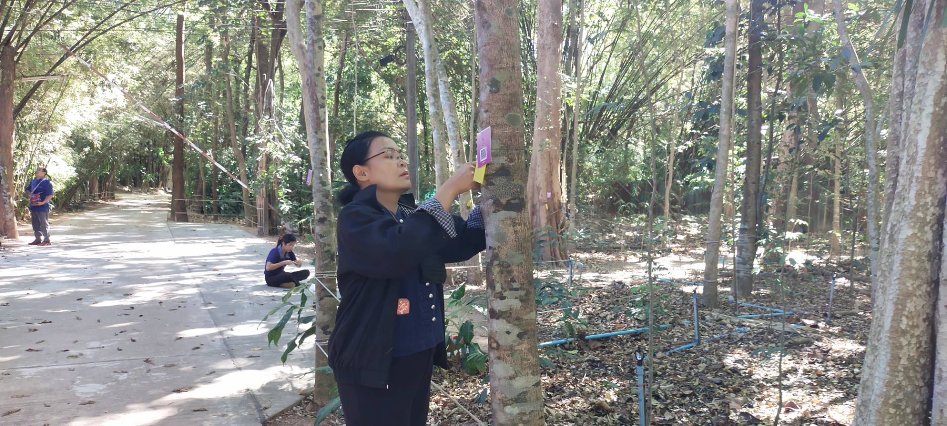 📢พช.สกลนคร : สำรวจต้นไม้เพื่อจัดเก็บเป็นฐานข้อมูลพันธุกรรมพืชและภูมิปัญญาท้องถิ่นโครงการอนุรักษ์พันธุกรรมพืชอันเนื่องมาจากพระรา ราชดำริ สมเด็จพระเทพรัตนราชสุดา (อพ.สธ.) ประจำปี พ.ศ.๒๕๖๖