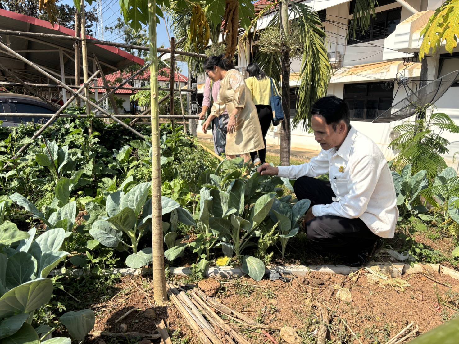 📢พช.สกลนคร : ติดตามนิเทศงานพัฒนาชุมชน สำนักงานพัฒนาชุมชนอำเภอบ้านม่วงและสำนักงานพัฒนาชุมชนอำเภอพังโคน จังหวัดสกลนคร