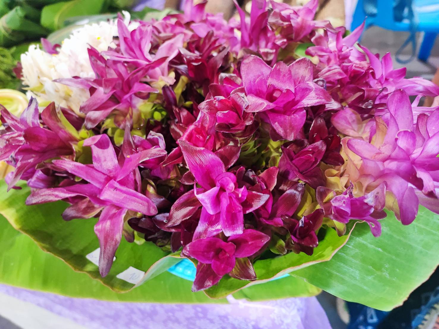 สำนักงานพัฒนาชุมชนจังหวัดสกลนคร ร่วมกับห้างสรรพสินค้าโรบินสัน ไลฟ์สไตล์ จังหวัดสกลนคร จัดกิจกรรมส่งเสริมการจำหน่ายสินค้า OTOP ในช่วง 6-12 เมษายน 2567