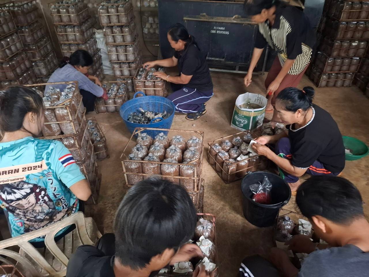 📢เครือข่ายกองทุนแม่ของแผ่นดินหนุนเสริมสัมมาชีพชุมชนเยาวชนกลุ่มเสี่ยง