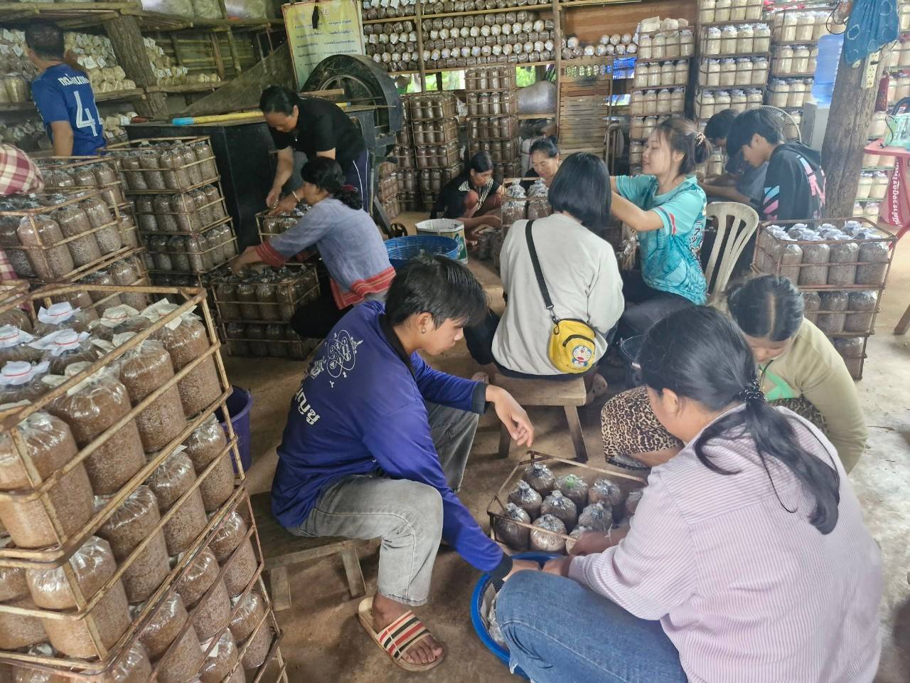 📢เครือข่ายกองทุนแม่ของแผ่นดินหนุนเสริมสัมมาชีพชุมชนเยาวชนกลุ่มเสี่ยง