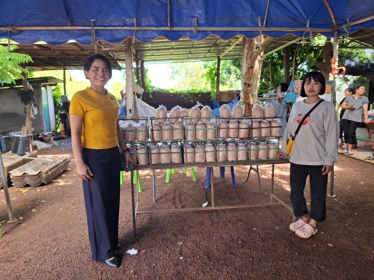 📢เครือข่ายกองทุนแม่ของแผ่นดินหนุนเสริมสัมมาชีพชุมชนเยาวชนกลุ่มเสี่ยง