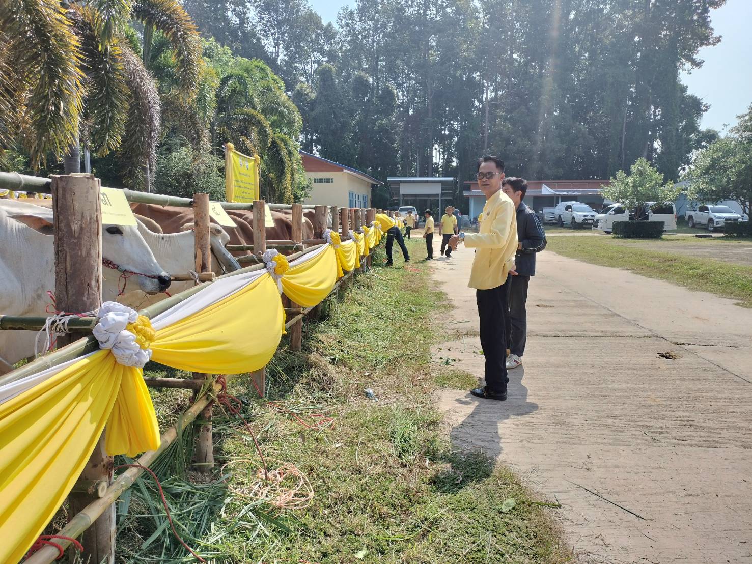 📢พช.สกลนคร : ร่วมพิธีมอบกรรมสิทธิ์และไถ่ชีวิตโค-กระบือ เฉลิมพระเกียรติพระบาทสมเด็จพระเจ้าอยู่หัว เนื่องโนโอกาสพระราชพิธีมหามงคลเฉลิมพระชนมพรรษา ๖ รอบ ๒๘ กรกฎาคม ๒๕๖๗