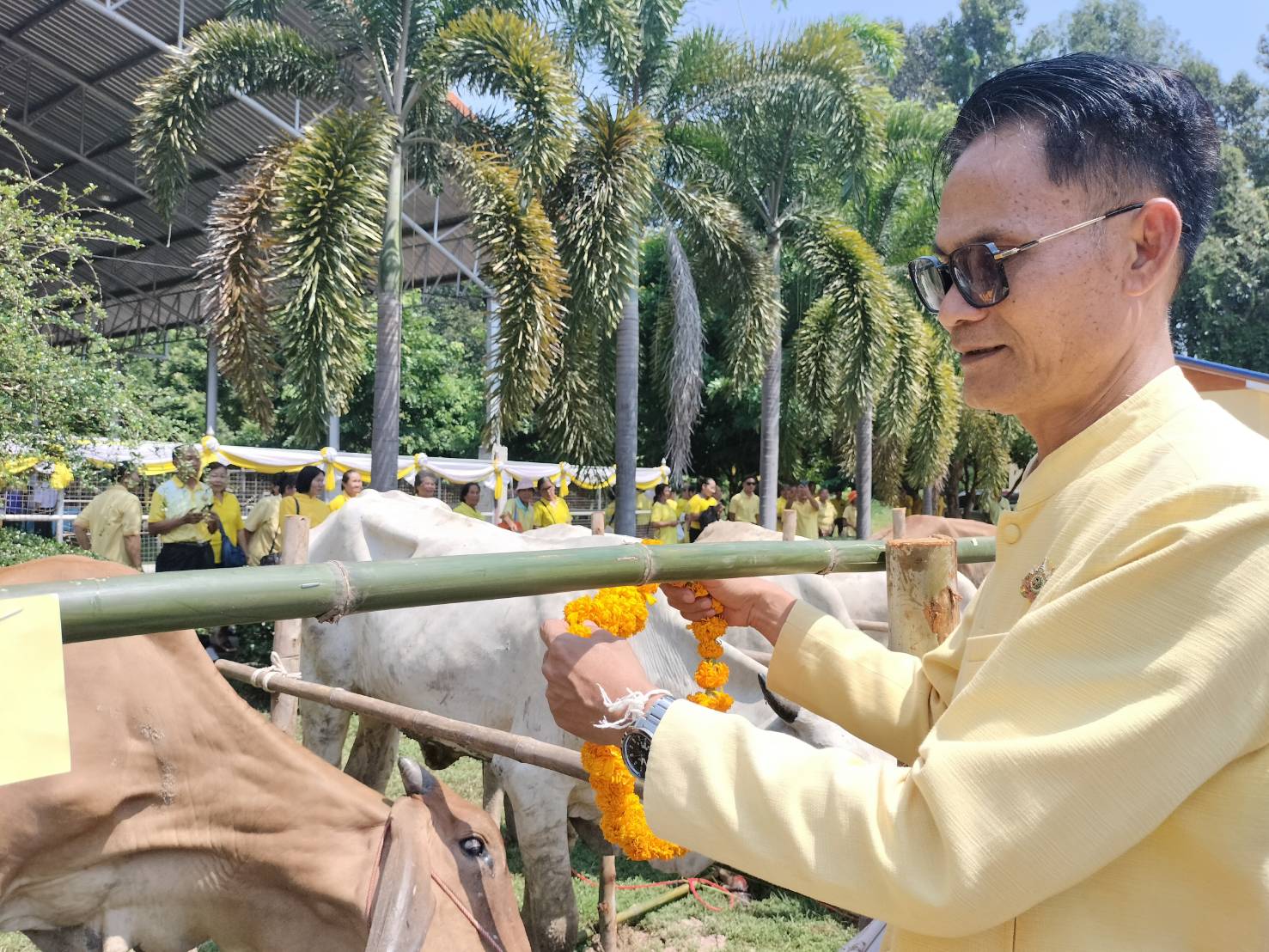 📢พช.สกลนคร : ร่วมพิธีมอบกรรมสิทธิ์และไถ่ชีวิตโค-กระบือ เฉลิมพระเกียรติพระบาทสมเด็จพระเจ้าอยู่หัว เนื่องโนโอกาสพระราชพิธีมหามงคลเฉลิมพระชนมพรรษา ๖ รอบ ๒๘ กรกฎาคม ๒๕๖๗
