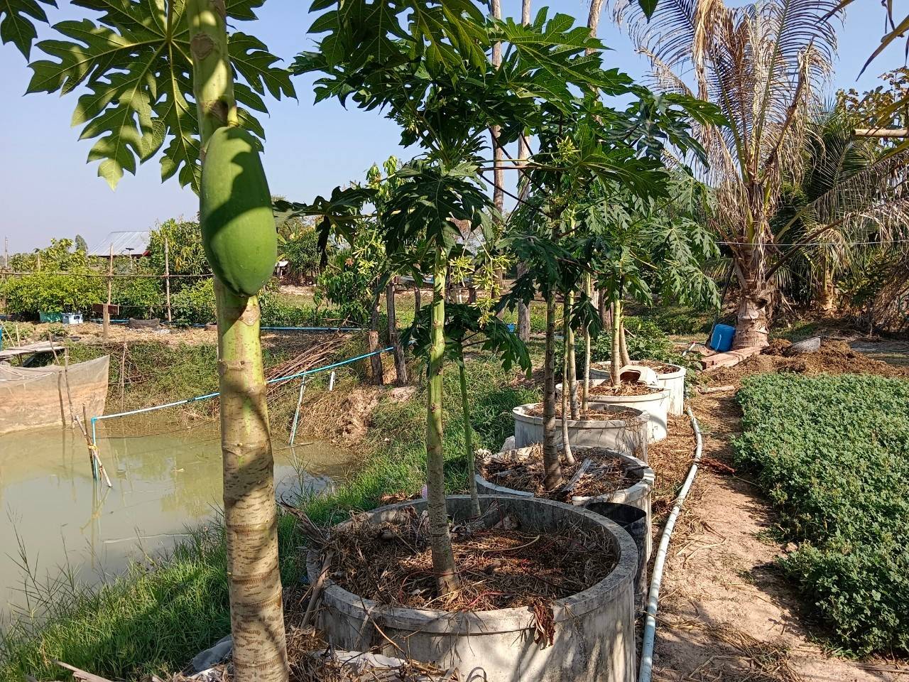 ผู้ตรวจราชการกรม (นายสุรพล แก้วอินธิ) ตรวจติดตามผลการปฏิบัติราชการ ตามประเด็นการตรวจราชการประจำเดือนมกราคม 2568