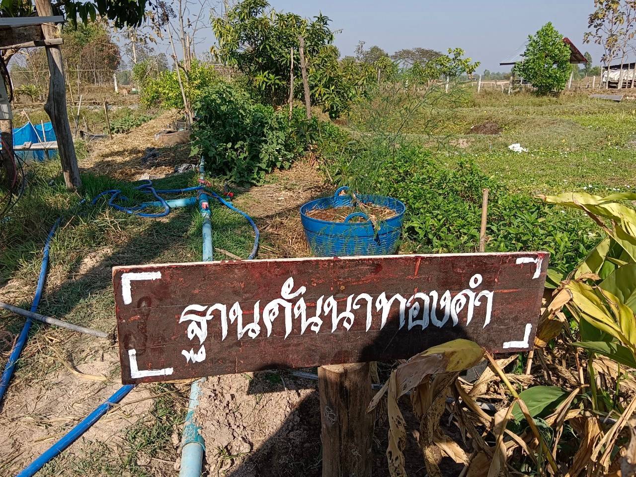 ผู้ตรวจราชการกรม (นายสุรพล แก้วอินธิ) ตรวจติดตามผลการปฏิบัติราชการ ตามประเด็นการตรวจราชการประจำเดือนมกราคม 2568