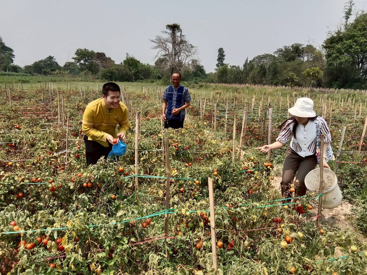 📢กรมการพัฒนาชุมชน : ติดตามการดำเนินงานพร้อมจัดการความรู้หมู่บ้านต้นแบบการน้อมนำแนวพระราชดำริไปประยุกต์ใช้ 📢